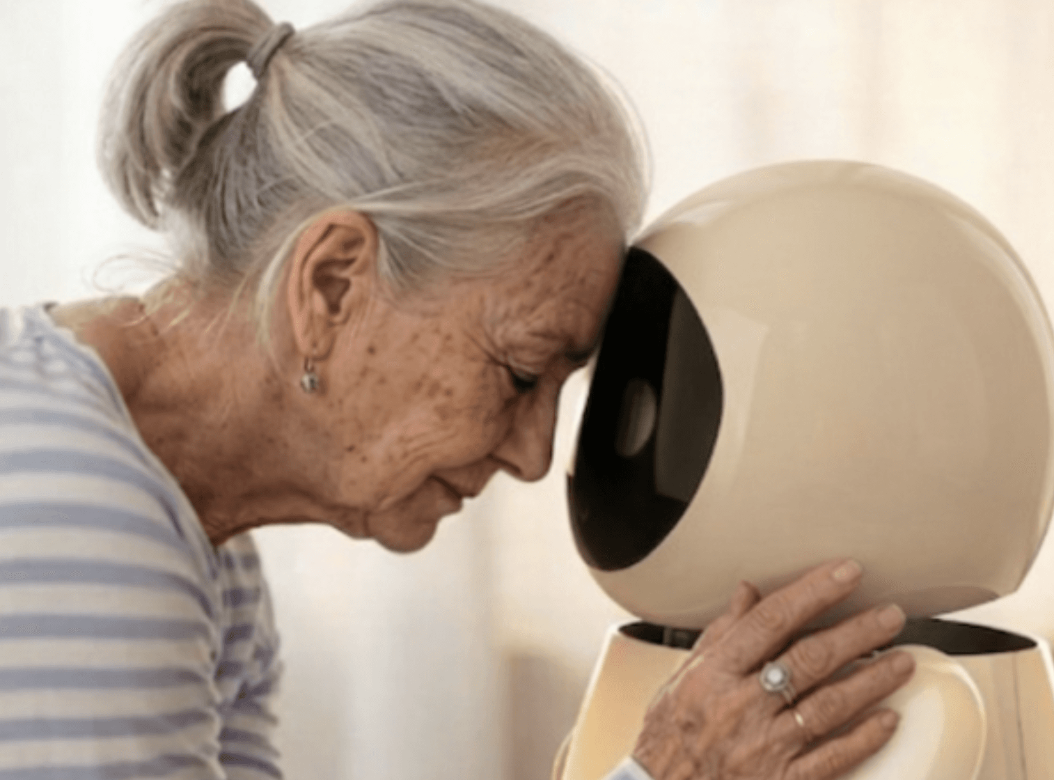 Emotional Companion Robot for Older Adults
