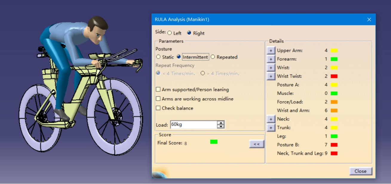 RULA ergonomic posture risk analysis for the cyclist