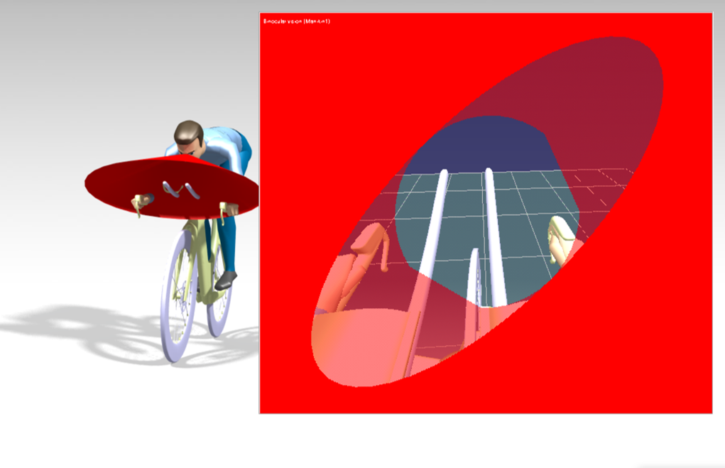 Rider visibility and forward field-of-view analysis